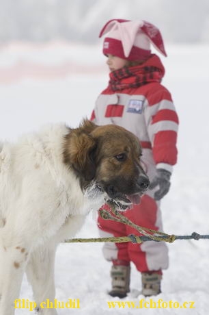 Decinsky sneznik 05 - 029.jpg